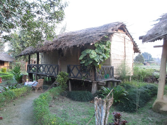 Ons hutje in de jungle